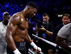 фото - Если не Фьюри? У Джошуа назвали возможных соперников на декабрь