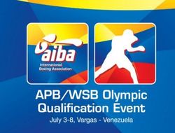 фото - Лицензионный турнир в Венесуэле: результаты поединков 3-4 июля