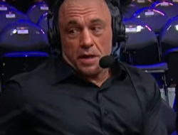 фото - Анкалаев вынудил Перейру драться нетипично — Роган