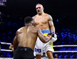 фото - Не Усик. Менеджер Уайлдера обозначил приоритет №1