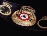Обновился рейтинг WBA: Кличко поднялся на одну позицию