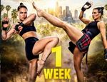 MVP MMA: Ронда Роузи – Джина Карано. Полный кард шоу