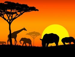 фото - За лучшего тяжа Африки: Макабу против Дуродолы в зимних Эмиратах