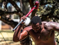 фото - «WBC, дайте мне пояс!» Уайт требует бой с Уайлдером через пару недель