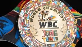 Титульный реванш и два финальных элиминатора — решения WBC