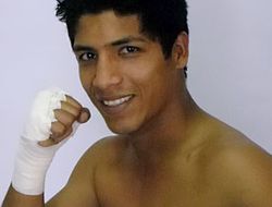 фото - (Результаты + Видео) Сильвестре успешно прошел японского претендента