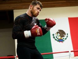 фото - У Сауля Альвареса ещё не определились с новым телепартнёром