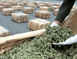 фото - Боксёрам в Неваде могут разрешить покуривать коноплю