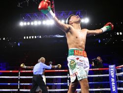 фото - Бальдерас победил досрочно, мощный дебют олимпийца Джонсона: видео