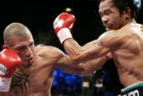 Видео боя: Мэнни Пакьяо – Мигель Котто, HD 720