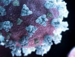 фото - Бриедис–Дортикос под угрозой переноса — Латвия ужесточила меры против COVID-19