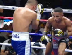 фото - В WBO появился новый временный чемпион — нокаутировал джебом по печени: видео