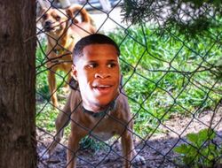 фото - Камбосос принялся троллить Хэйни, упоминал Ломаченко