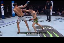 UFC Fight Night 237: Морено – Ройвэл 2. Видео лучших моментов, бонусы турнира