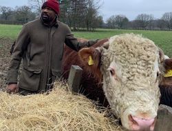фото - Чисора: Проиграл битву, но не войну за доминирование в дивизионе. Это лишь начало!