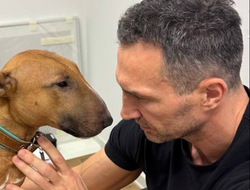 фото - Аль аш-Шейх хочет видеть камбэк Кличко — промоутер