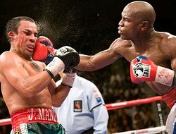 фото - Маркес прокомментировал слухи о возможном реванше с Мэйуэзером