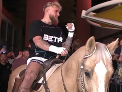 фото - Открытая тренировка перед боем Пол–Силва: Джейк прибыл на коне — видео