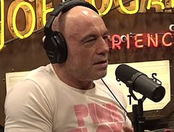 фото - Если подерутся Дэйна Уайт и Эдди Хирн: мнение Рогана