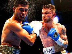 фото - Бой Фрэмптона с Авалосом посмотрело почти 2 млн телезрителей