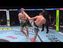 Махачев прошёл Гэрри. Видео лучших моментов UFC 330