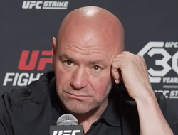 фото - Бой Макгрегор–Чендлер состоится, но позже