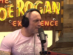 фото - Почему Джейк Пол хочет драться с Джошуа в следующем году? Дичь-теория от Рогана