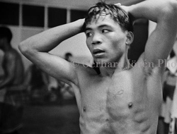 фото - Фредди Роуч: «После Элджиери Пакьяо нужно драться с Дэнни Гарсиа»