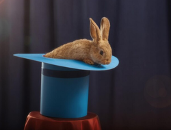 фото - Супершоу UFC 300 разочарует болельщиков? Обозреватель рассчитывает на «кролика в шляпе»