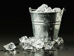 фото - Флешмоб «Ледяное ведро» – теперь с участием президента WBC