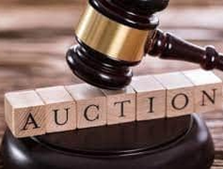 фото - Состоялись торги по бою Бетербиев–Смит: результаты