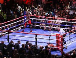 фото - Уайлдер об ударной мощи пикового Тайсона: «Я бью сильнее. Вопрос закрыт»