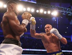 фото - Александр Усик – Энтони Джошуа. Итоговая статистика ударов боя