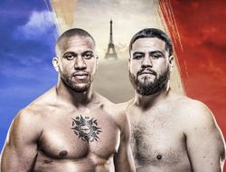 фото - UFC Paris: Ган – Туиваса. Результаты турнира