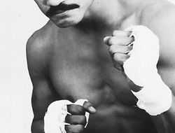 фото - Джентльмен ринга