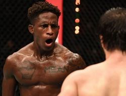 фото - UFC 253. Зубайра Тухугов проиграл Даводу, Хадис Ибрагимов – тоже, его уволят