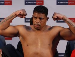 фото - Кубинский мамелюк