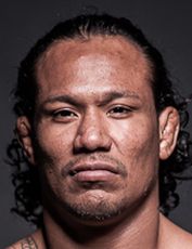 Луис Паломино