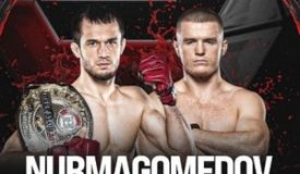 Прямая трансляция PFL Champions Series: Усман Нурмагомедов – Пол Хьюз 2. Смотреть онлайн