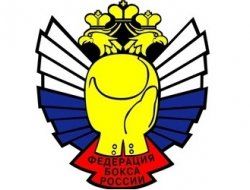 фото - Чемпионат России по боксу 2015: таблица призёров первенства