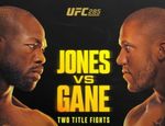 UFC 285: Джон Джонс – Сирил Ган. Результаты