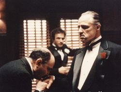 фото - UFC, светское: как Макгрегора задержали на Корсике, а Ковингтон чуть не поцеловал руку Трампа 