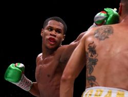 фото - Хэйни нашёл ключ к победе над Ломаченко