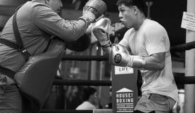 Мунгиа может выступить на разогреве у Усика, Иноуэ подерётся с Иокой