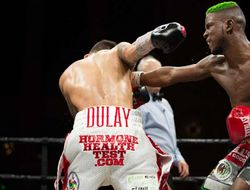 фото - Нокаут года? Крис Колберт выключил свет Мигелю Бельтрану — видео