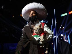 фото - Бой Мосли на разогреве у Гарсии, а Лава — у Канело, Альварадо отказался от пояса