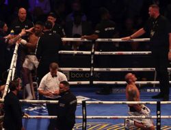 фото - Вскоре Усику придётся принять решение — Хирн