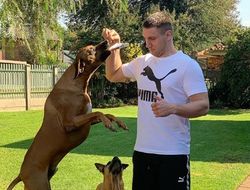 фото - Гвоздик в Долине смерти, Бриггс заводил молодёжь, Сиренко кормит псов — соцсети