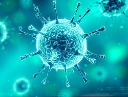 фото - Коронавирус vs бокс: в Британии будут тестировать, в Японии всё отменили