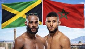 Полный кард UFC Fight Night 274: Алджамейн Стерлинг – Юссеф Залал. Все бои шоу 26 апреля